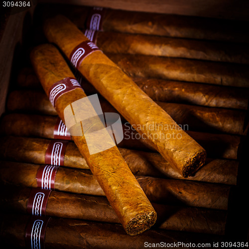 Image of Cigars in humidor