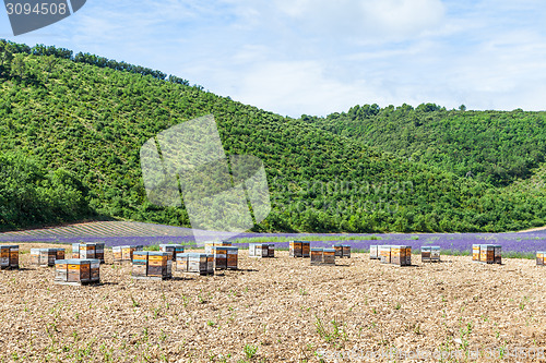 Image of Beehive close to lavander field