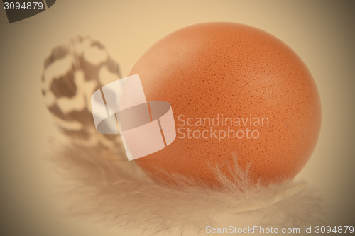 Image of Easter egg and feather
