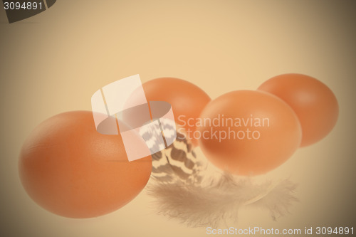 Image of eggs with a feather, easter still life