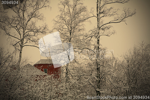 Image of red house in winter wood  