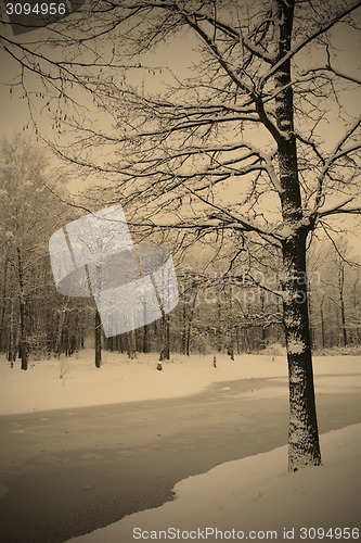 Image of winter landscape