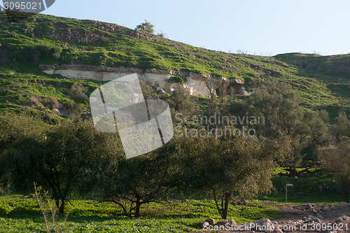 Image of Nature travel in Israel