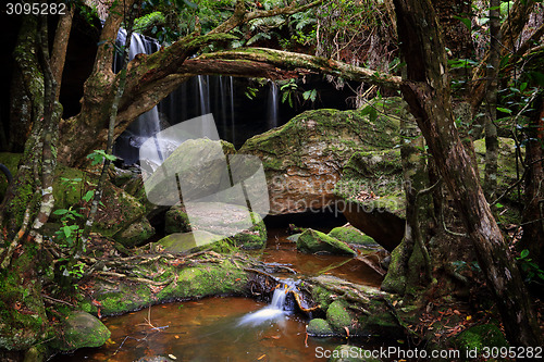 Image of The lush Grotto at Fitzory Falls Australia