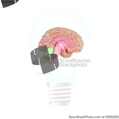 Image of Light bulb with brain