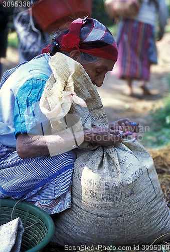 Image of LATIN AMERICA GUATEMALA COFFEE