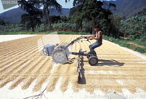 Image of LATIN AMERICA GUATEMALA COFFEE