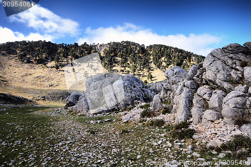 Image of mountain rock  summer wonderful view