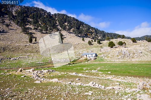 Image of soothing mountain summer wonderful view