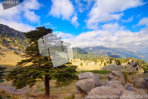 Image of soothing mountain summer wonderful view