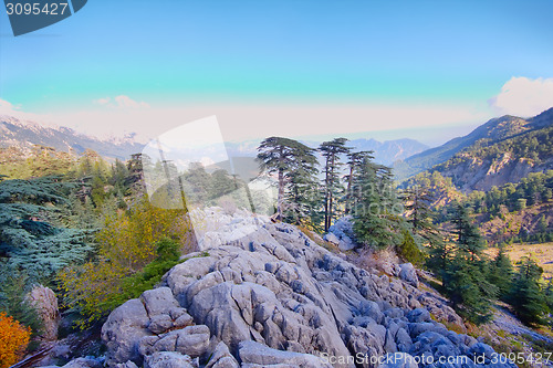 Image of soothing mountain rock  summer wonderful view