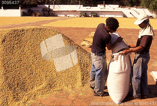 Image of LATIN AMERICA GUATEMALA COFFEE