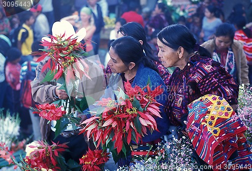 Image of LATIN AMERICA GUATEMALA CHICHI