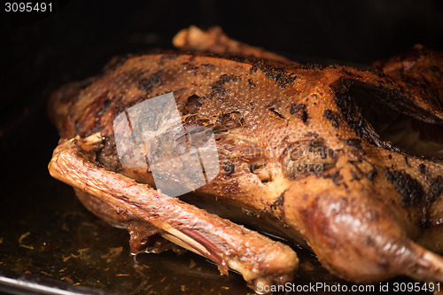 Image of roasted goose 