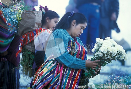 Image of LATIN AMERICA GUATEMALA CHICHI