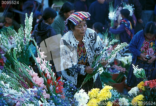 Image of LATIN AMERICA GUATEMALA CHICHI