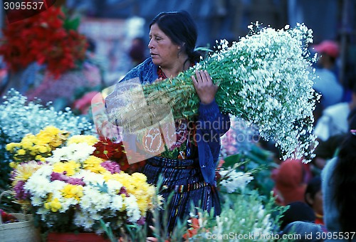 Image of LATIN AMERICA GUATEMALA CHICHI