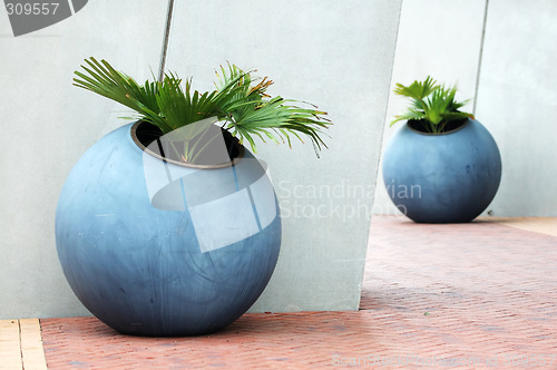 Image of Large plant pots