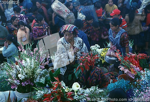 Image of LATIN AMERICA GUATEMALA CHICHI