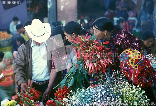 Image of LATIN AMERICA GUATEMALA CHICHI