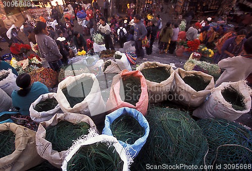 Image of LATIN AMERICA GUATEMALA CHICHI