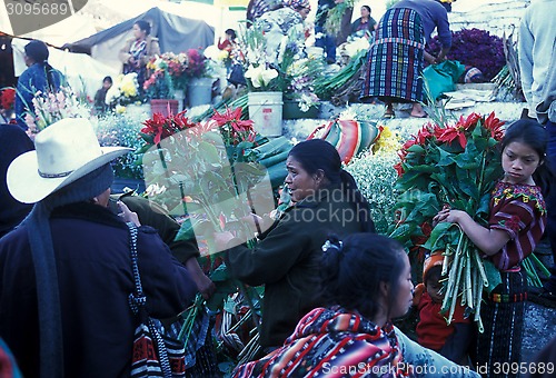 Image of LATIN AMERICA GUATEMALA CHICHI