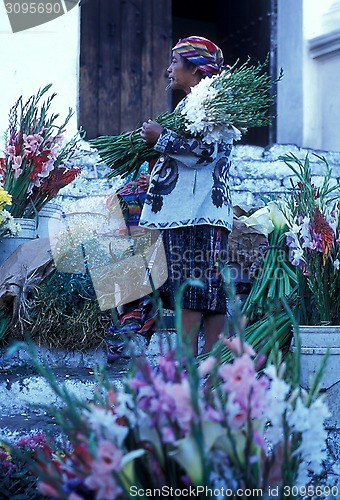 Image of LATIN AMERICA GUATEMALA CHICHI