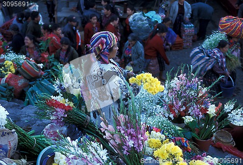 Image of LATIN AMERICA GUATEMALA CHICHI