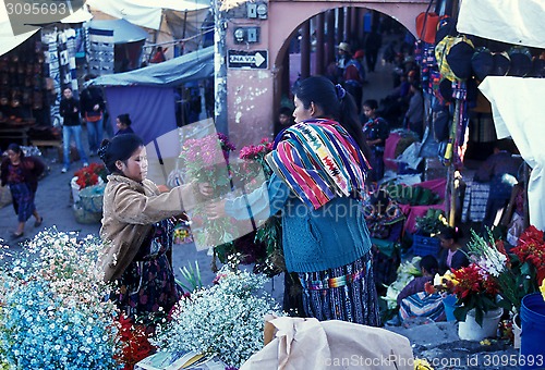 Image of LATIN AMERICA GUATEMALA CHICHI