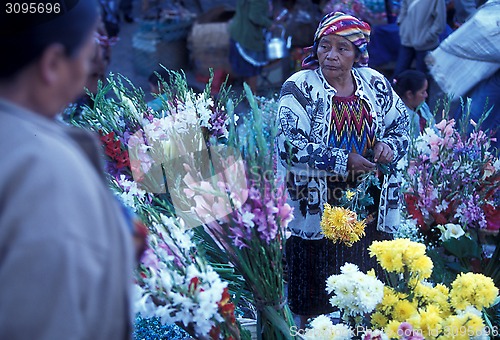 Image of LATIN AMERICA GUATEMALA CHICHI