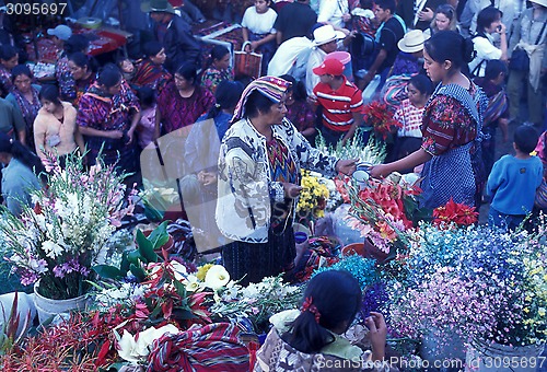 Image of LATIN AMERICA GUATEMALA CHICHI