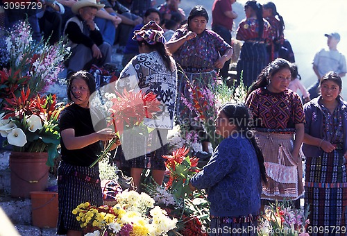 Image of LATIN AMERICA GUATEMALA CHICHI