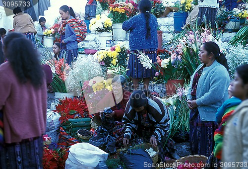 Image of LATIN AMERICA GUATEMALA CHICHI