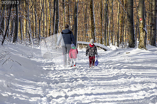 Image of Family in the snow in the forest