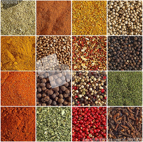 Image of various kinds of spices