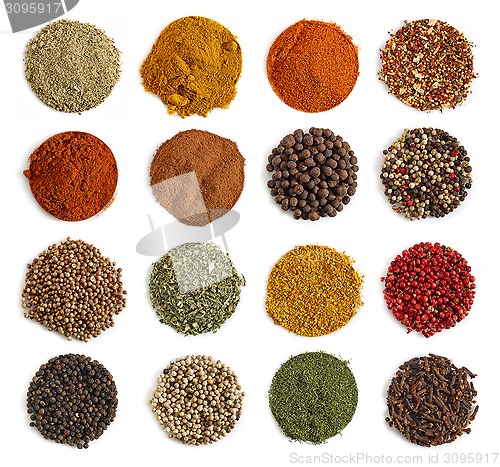 Image of various kinds of spices