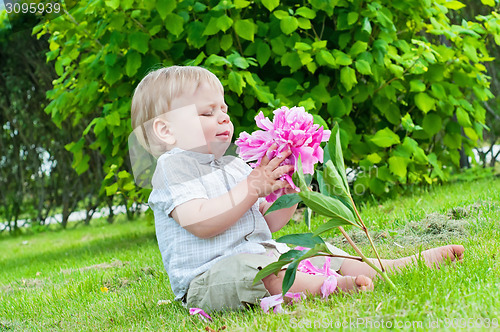 Image of Small baby boy holding a flower in his hand