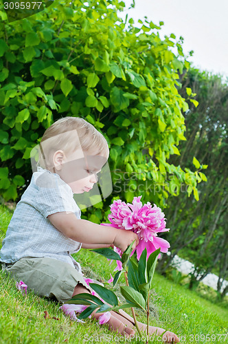 Image of Small baby boy holding pink flower in his hand