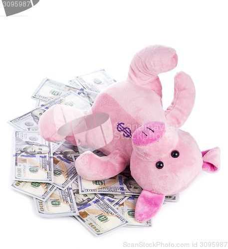 Image of piggy bank and money