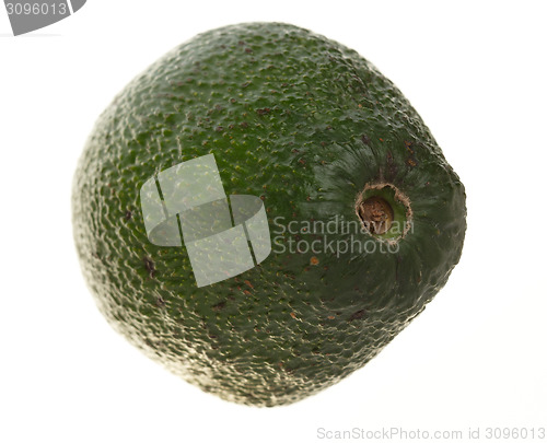 Image of Avocado isolated on white