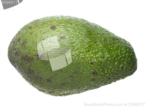 Image of Avocado isolated on white