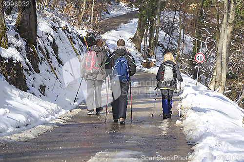 Image of Trekking in the snow forest