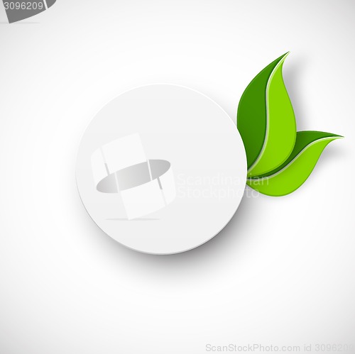 Image of Paper white circle with leaves