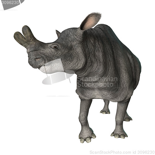 Image of Brontotherium