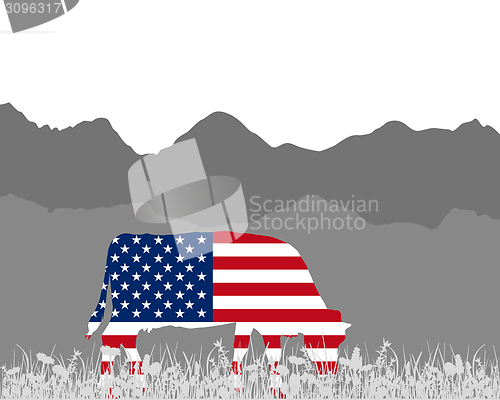 Image of Cow alp and flag of USA