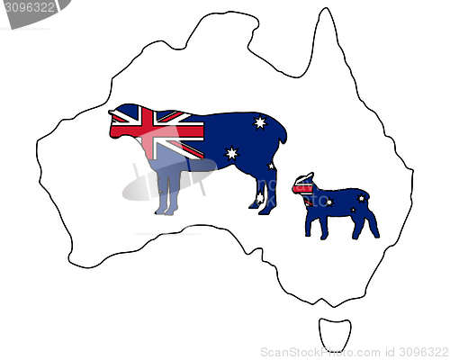Image of Australian sheeps