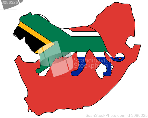 Image of Lion South Africa