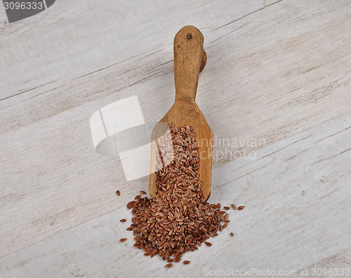 Image of Linseed on shovel