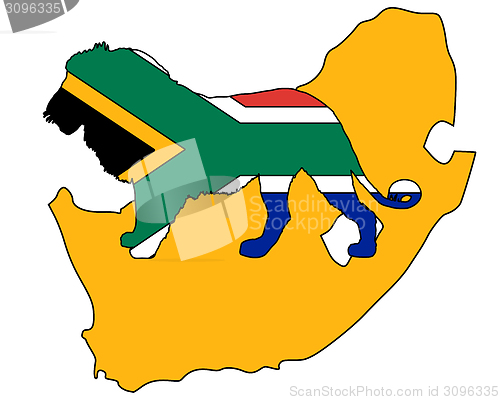 Image of Lion South Africa