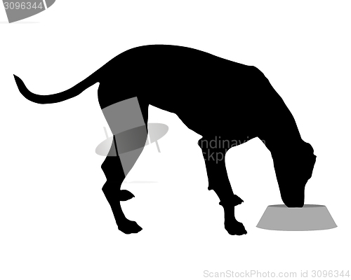 Image of Dog with feeding dish 